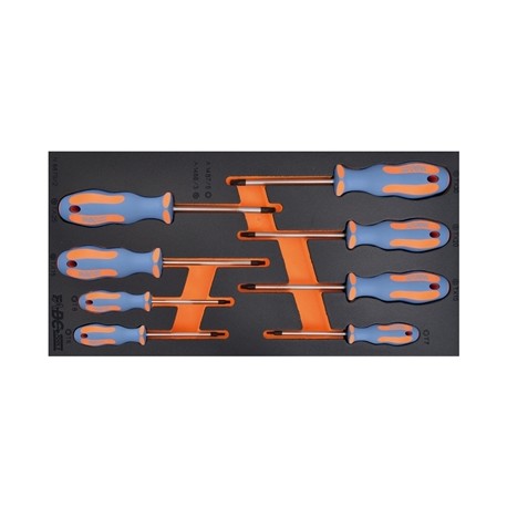 ASS.DRIVER SYSTEM 8 UTENS.TORX
