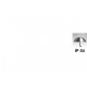 "TORCIA ""FLASH PEN"" A LED 1W