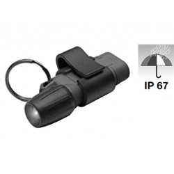 TORCIA ISP. 2AAA XENON MINIP.
