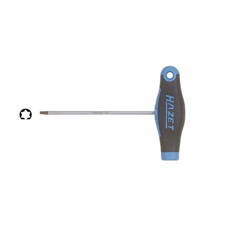 GIRAVITI TORX A 1488 T10