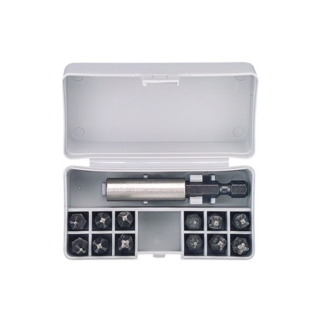 ASSORTIMENTO A 1593/47 CON 13 INSERTI
