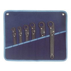 SET A 3091/96 WITH 6 WRENCHES