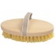 SPAZZOLA PER COTTO B 4126/1
