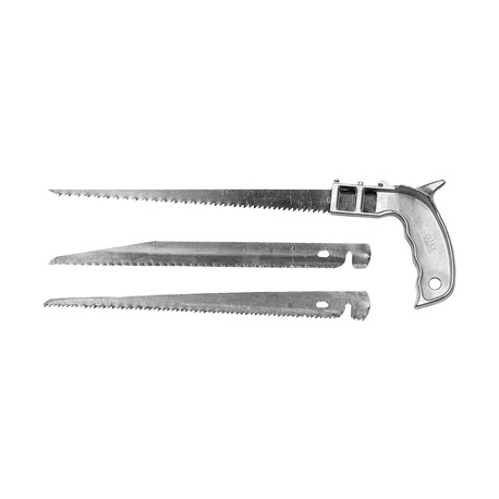 3 FORETTI B 5493/1