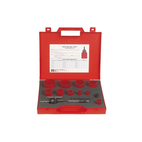 ASS.D 3849/9 WITH 15 TOOL.