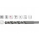 PUNTE F 6513X17,00