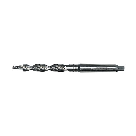 PUNTE F 7589X8
