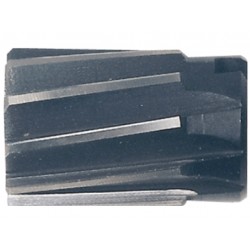 ALESATORI A BUSS. F 7764 MM 55