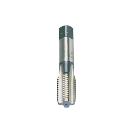 MASCHI F 7801X4
