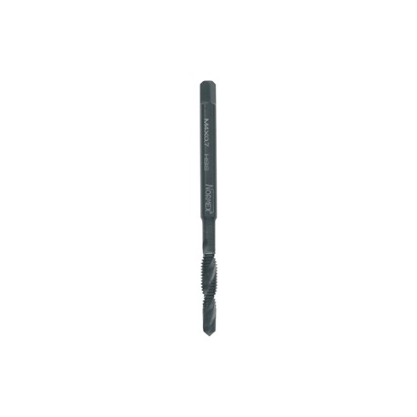 MASCHI F 7809/3X6
