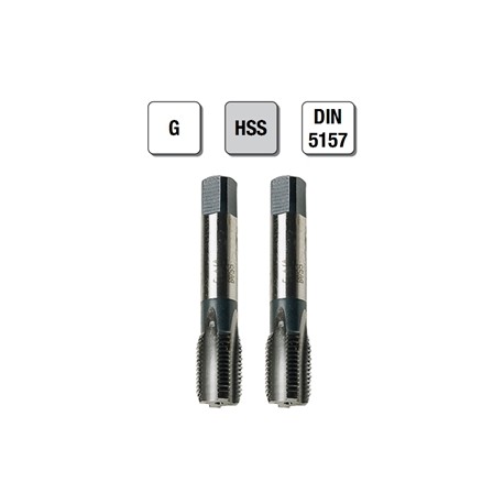 2 MASCHI F 7816X¼" + CONT.