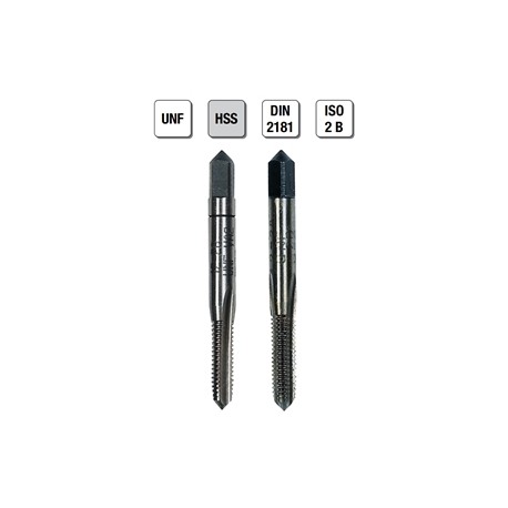 2 MASCHI F 7822/1X6 + CONT.