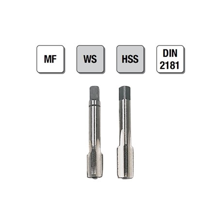 2 MASCHI F 7829X14X1,5 + CONT