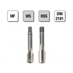 2 MASCHI F 7829X24X1,5 + CONT