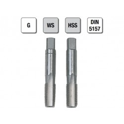 2 MASCHI F 7829/5X2 + CONT.