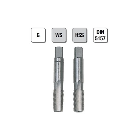 2 MASCHI F 7829/6X½" + CONT.