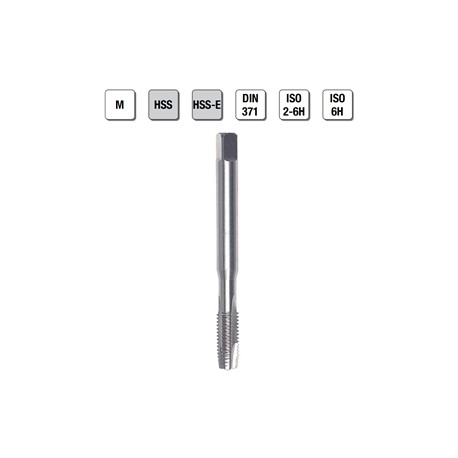 MASCHI F 7829/9X5