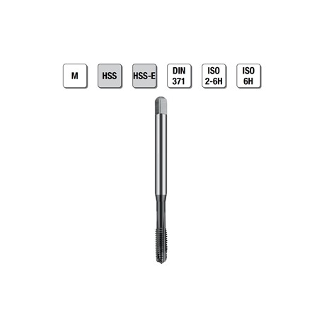 MASCHI F 7833/1X3 M