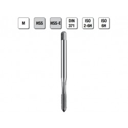 MASCHI F 7839X3       M