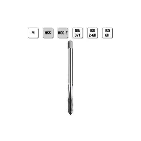 MASCHI F 7839X3       M