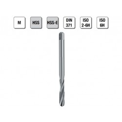 MASCHI F 7842X3 M