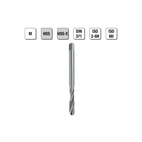 MASCHI F 7842X3 M