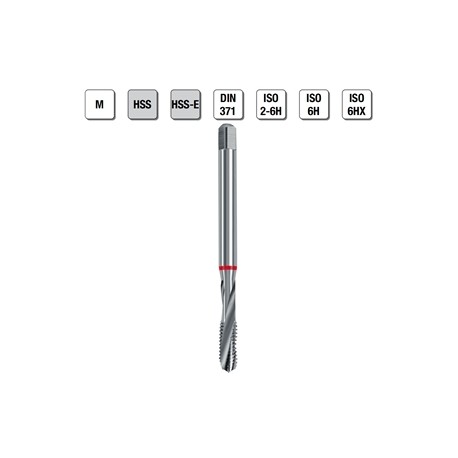 MASCHI F 7842/3X3 M