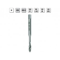 MASCHI F 7842/7X3