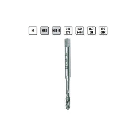 MASCHI F 7842/7X8