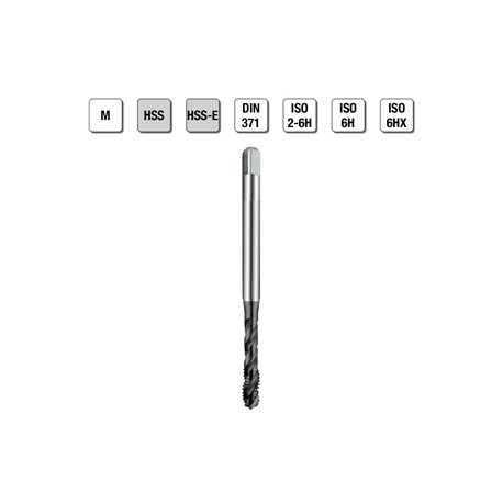 MASCHI F7842/9X3 M