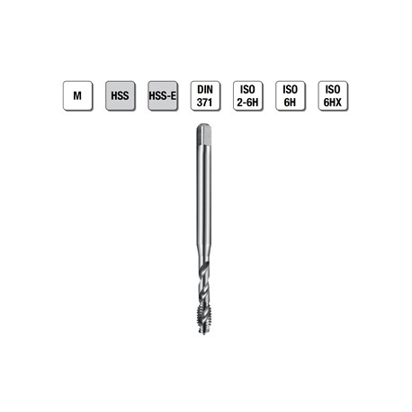 MASCHI F 7843X3 M