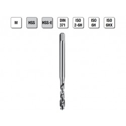 MASCHI F 7843X3,5 M