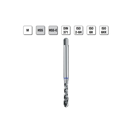 MASCHI F 7843/2X8 M