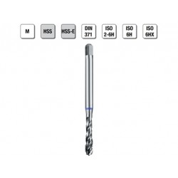 MASCHI F 7843/2X2,3 M
