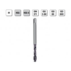 MASCHI F 7843/22X3 M