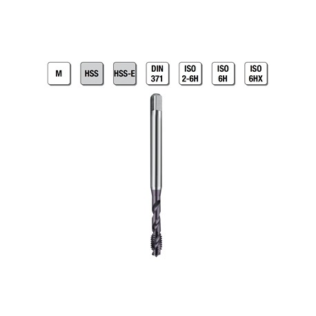 MASCHI F 7843/22X4 M