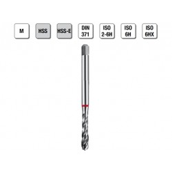 MASCHI F 7843/3X3 M