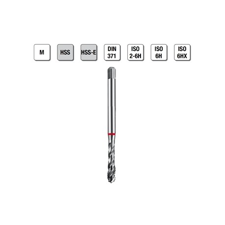 MASCHI F 7843/3X4 M
