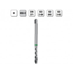 MASCHI F 7843/4X3 M