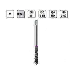 MASCHI F 7843/5X3 M