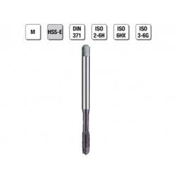 MASCHI F 7845/22X3 M