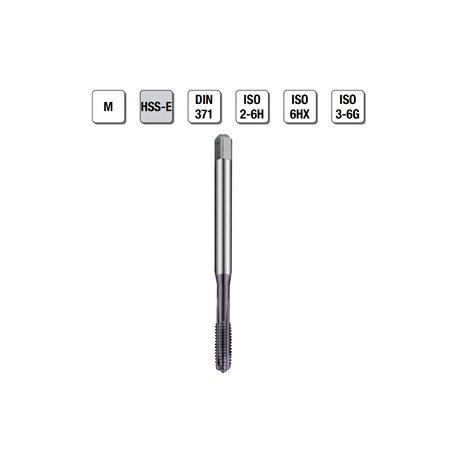 MASCHI F 7845/22X3 M