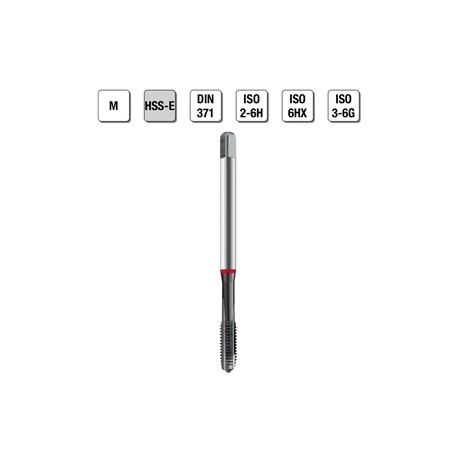 MASCHI F 7845/3X3 M