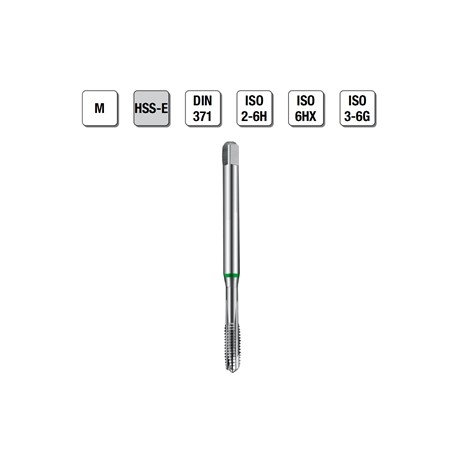 MASCHI F 7845/4X2 M