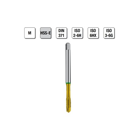 MASCHI F 7845/44X3 M