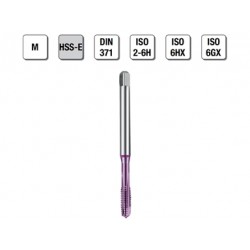 MASCHI F 7845/7X3 M