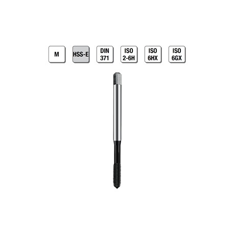 MASCHI F 7847X3 M