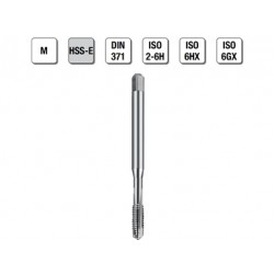 MASCHI F 7848/3X3 M