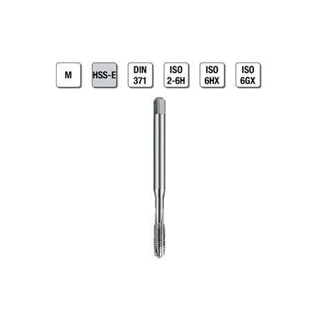 MASCHI F 7848/3X3 M