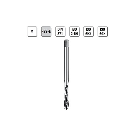 MASCHI F 7851X3 M